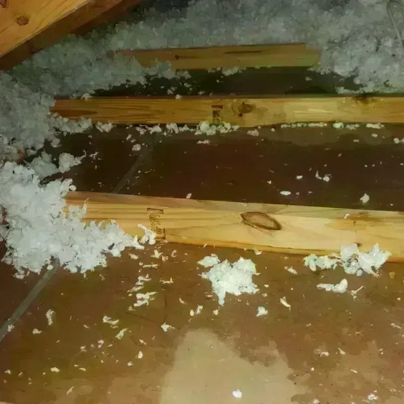 Attic Water Damage in Fairfield, IA