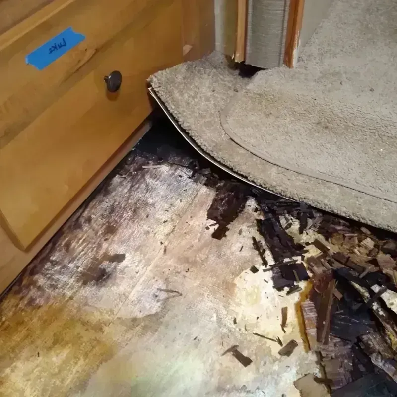 Wood Floor Water Damage in Fairfield, IA